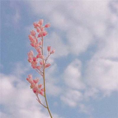 云开平台app最新版下载手机版